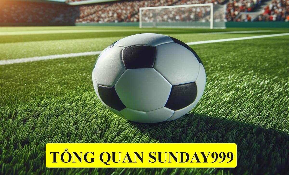 Tổng quan về Sunday999.com SBOBET